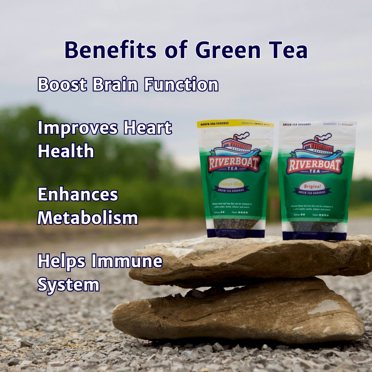 Two packages of Riverboat Green Tea on a rock with text about the benefits of green tea.